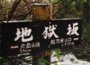 nW