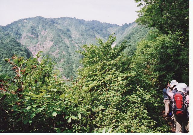 mx
