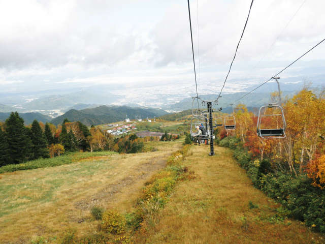 V䍂XL[tg