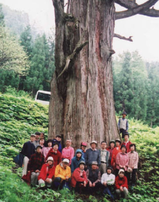 ��̑�̈�{��