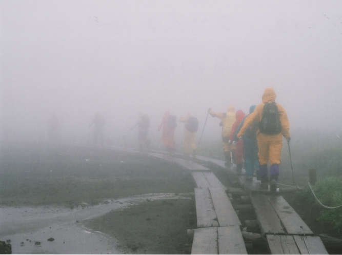 �䕗�ڋ߂̏H�c��