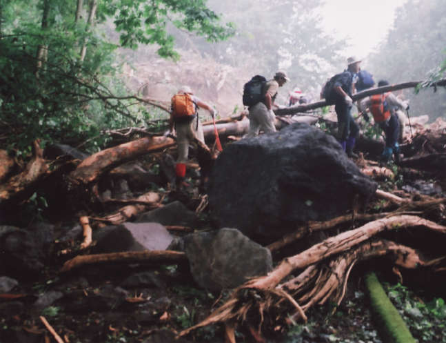 ������ѓ����������z����