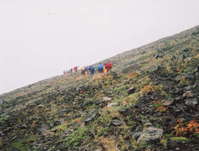 �O�|�R�Ζʂ̓o��