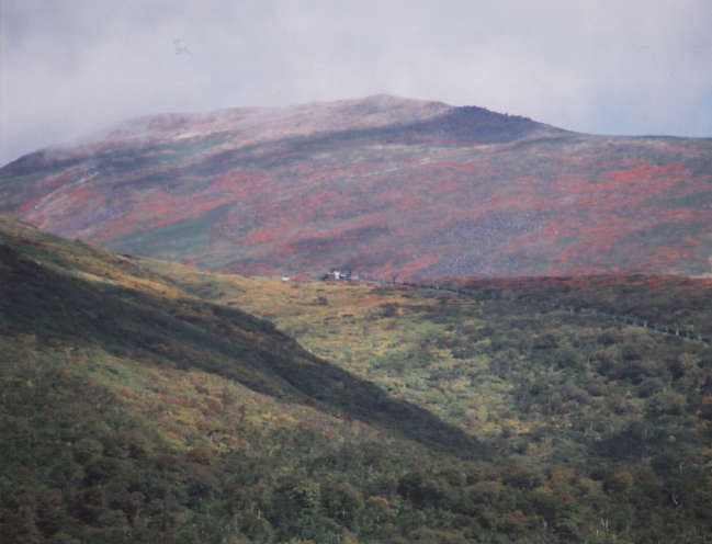 �Z�\���z�X���g�t�̌��R