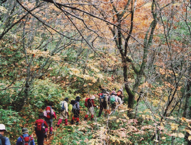 �����P��R�[�X���s��