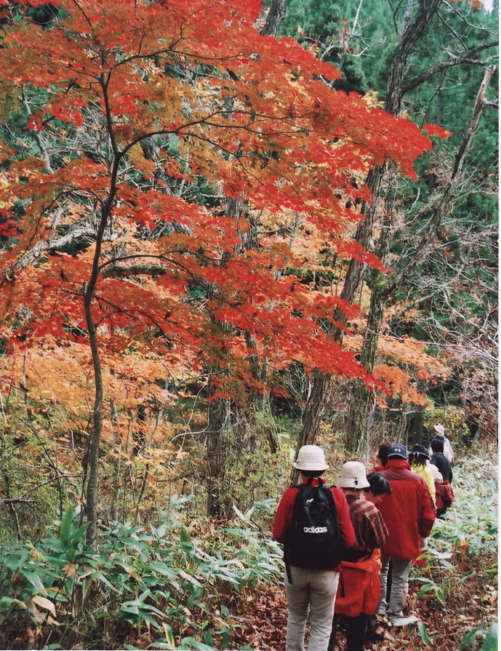 �u���R�΂̐X