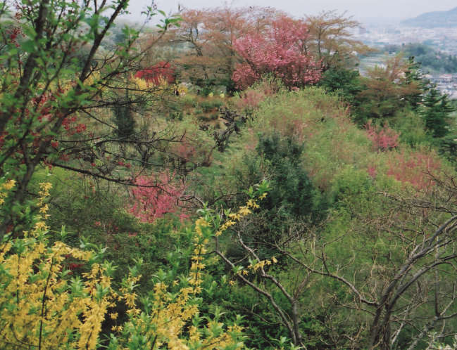 �Ԍ��R�̍ʂ�