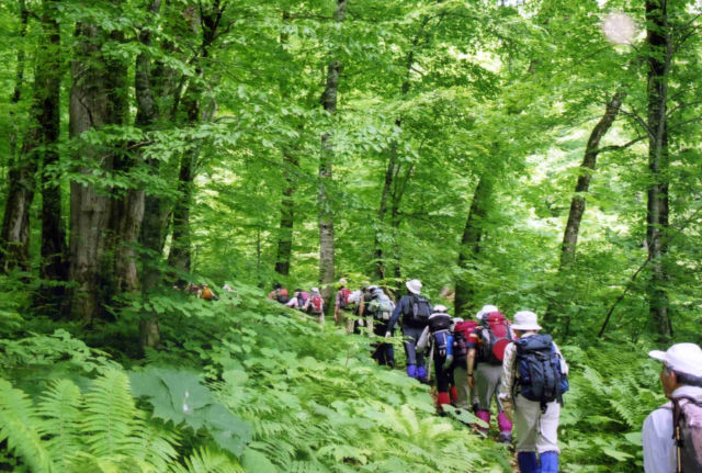 �������R�E�Ԃȗт̒����s