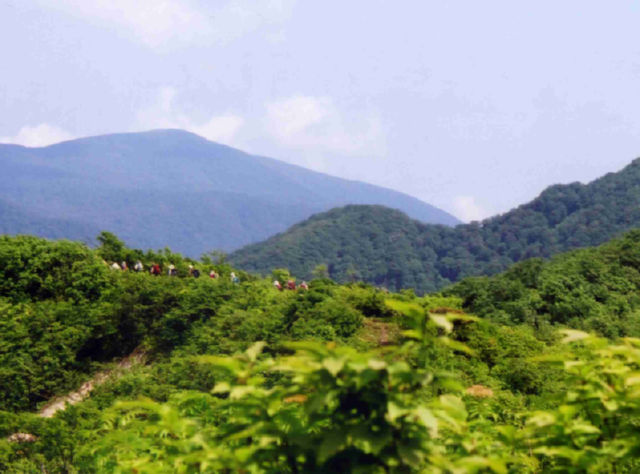 �ٓV�R�������s��