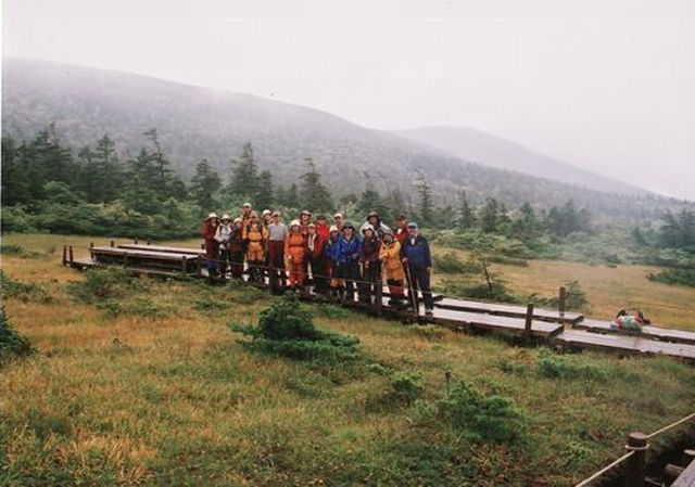 �ő�����