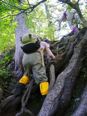 �u�Ñq�R�̋}�ȎR��