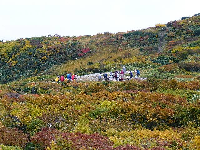 �V�瑊�o����