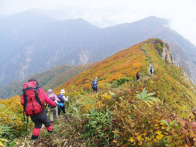 ��q�P�x�R����莇�i�f��