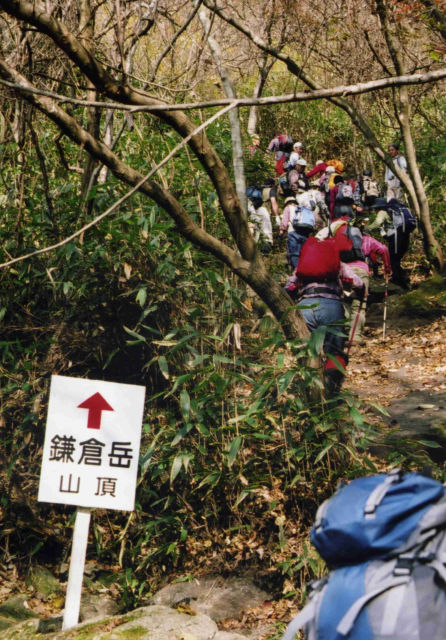 �ΐ؏���̋}�ȓo��