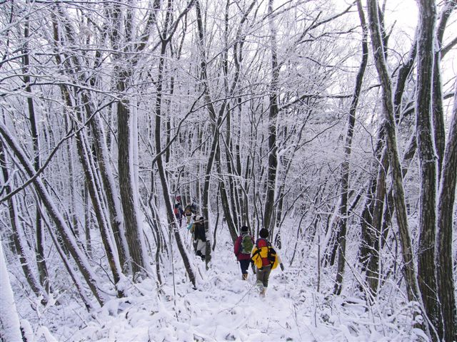 �O�g�R�`�t�R�̔�����