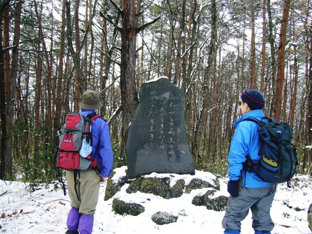 �ē��΋g�̉̔�