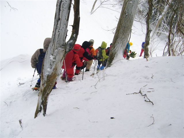 ����̓�������