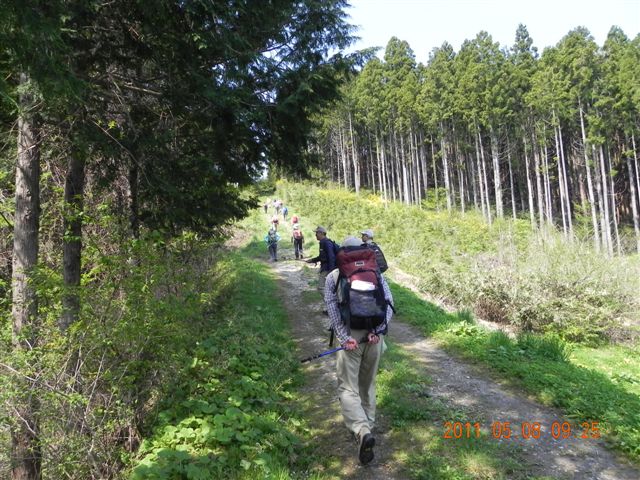  ���G�e�R�ւ̓o�R��