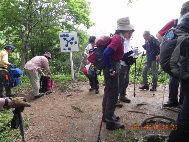  �犠�R�[�X�Ƃ̕���