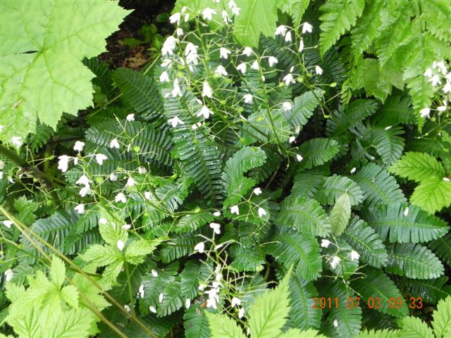  �I�T�o�O�T