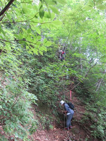  ����̒J���z����