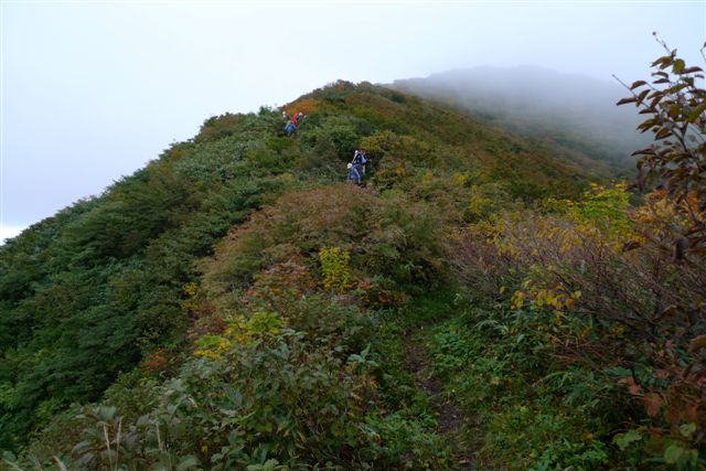  �p�m���}�R�[�X������