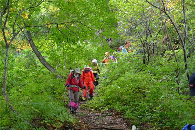  ��P�̃s�[�N������