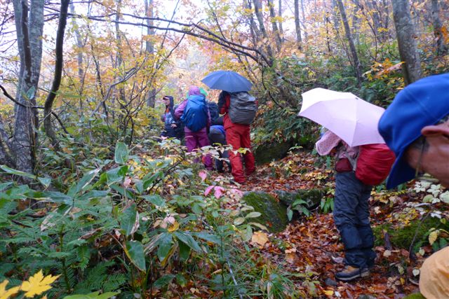  ���ȓo�R��