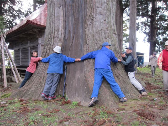  �Γ��i�����邬�j�̐e�X�M