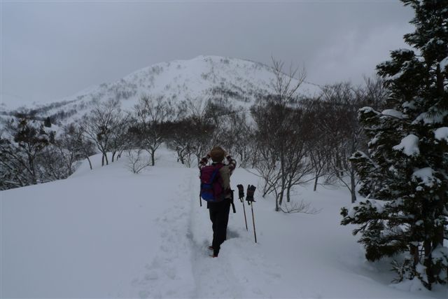  �^�Z�`��ጴ