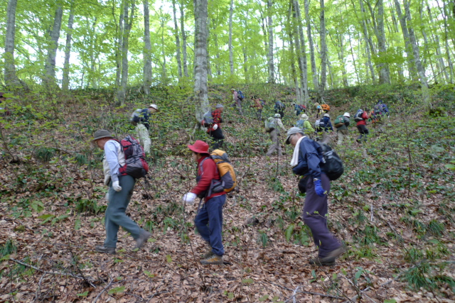  �ӂꂠ���̐X�V����