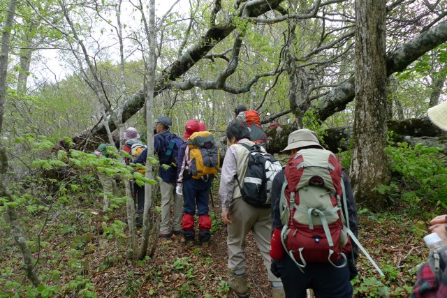 �u�i�̓|�� 