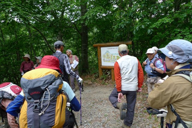  �����̑꒓�ԏ�