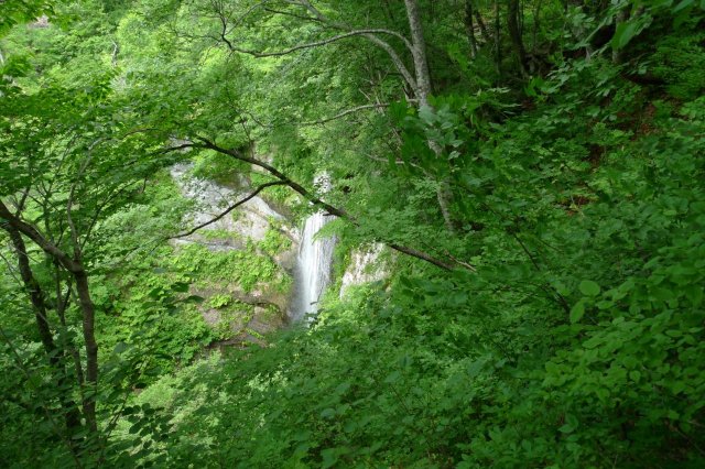  �����̑�