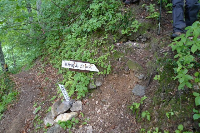  ���_�R���R��