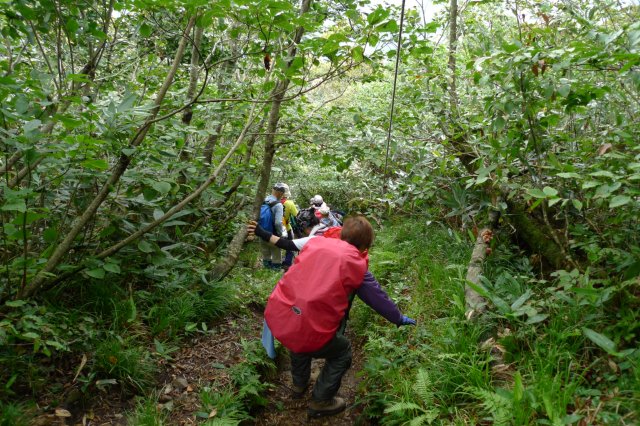  �܍��ڂ���̋}��