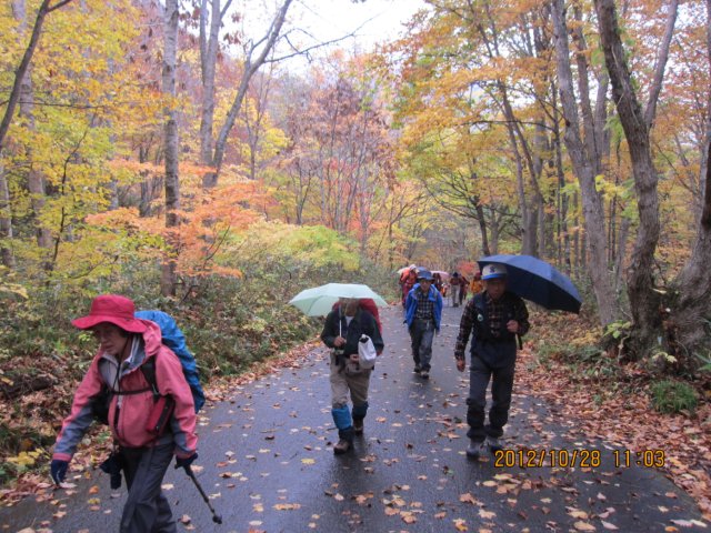  �W�����ʂ�