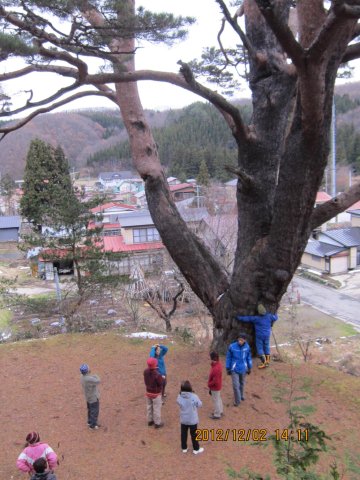  �n���l�̑叼