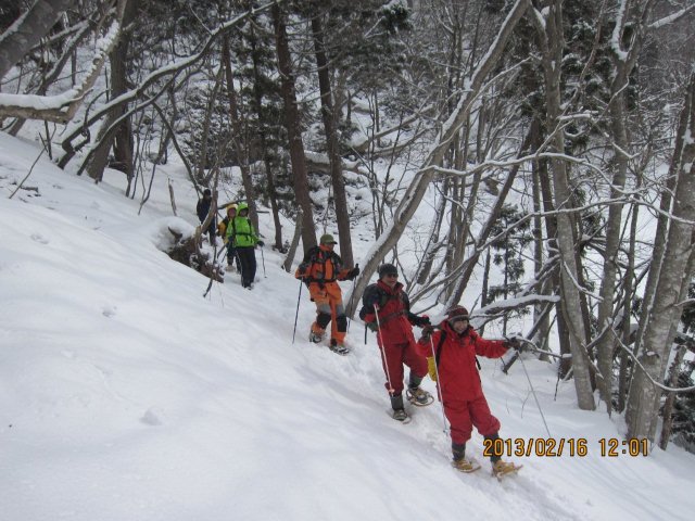  �{���ɍ~��